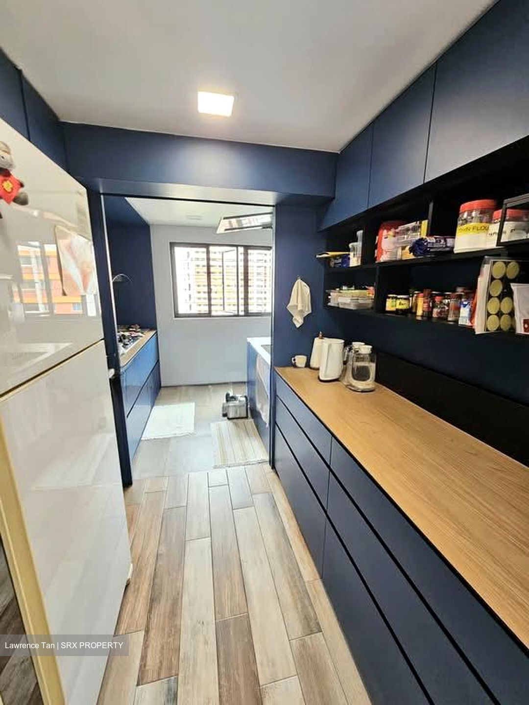 Blk 8 Holland Avenue (Queenstown), HDB 4 Rooms #551609571